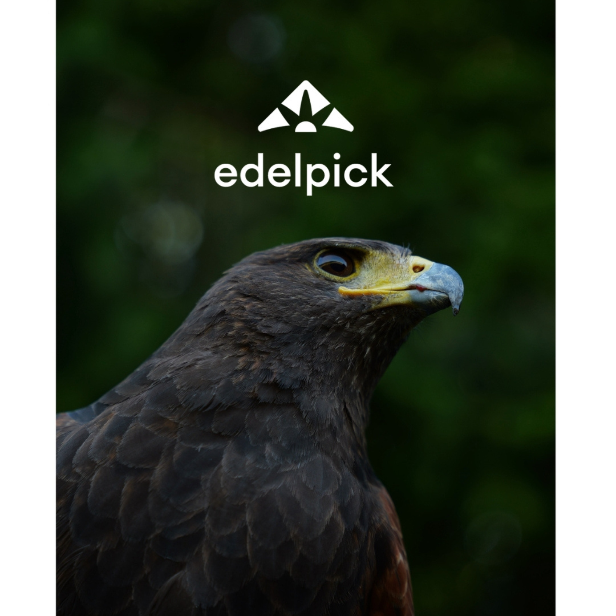 tente de toit edelpick